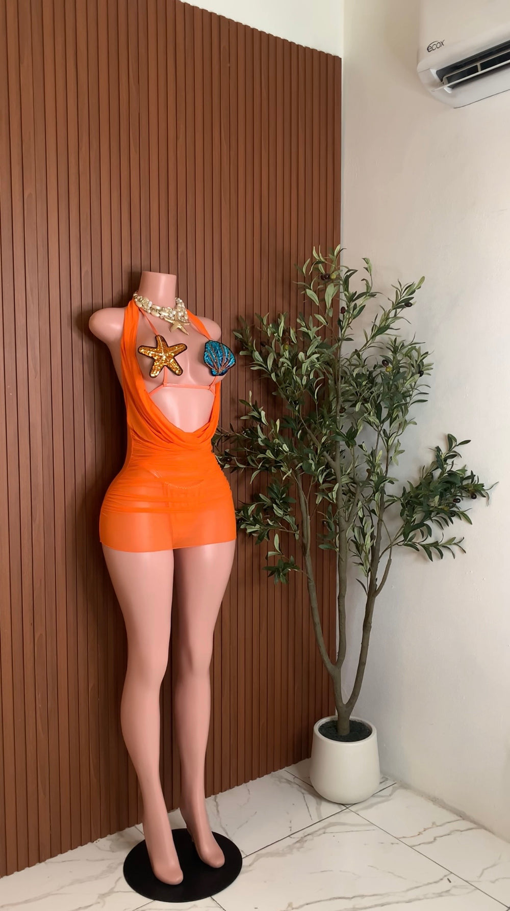 Mimosa