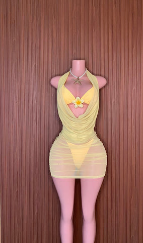 Sesame (yellow)